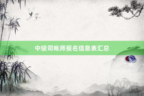 中级司帐师报名信息表汇总